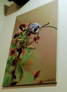 Exposición Emiliano López, La Fabrique Peluqueros Bilbao